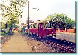 p6.jpg